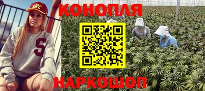 прущая мука Можайск