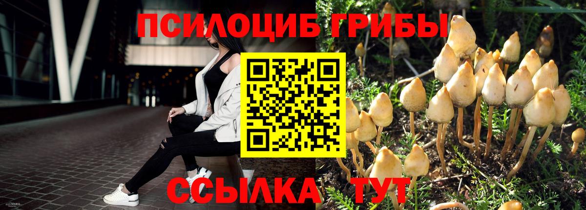 Галлюциногенные грибы MAGIC MUSHROOMS Унеча