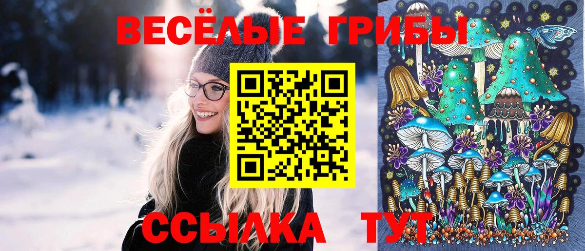 закладка  Вход с VPN  Унеча  Псилоцибиновые грибы прущие грибы 